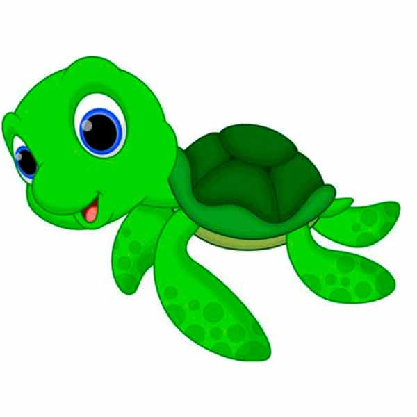 Tortuga – Caramelo de Pañales -Tortuga