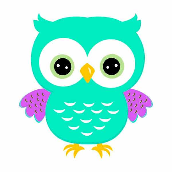 Ilustración de búho turquesa