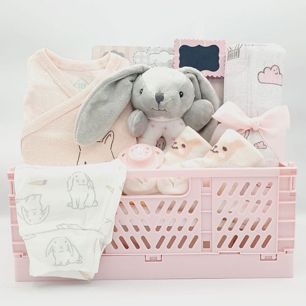 Canastilla de bebé Conejita con conejito de peluche gris, ropa blanca y rosa y caja plegable rosa