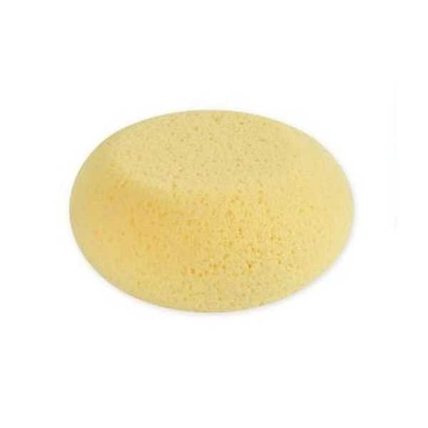 Esponja Hidrofila